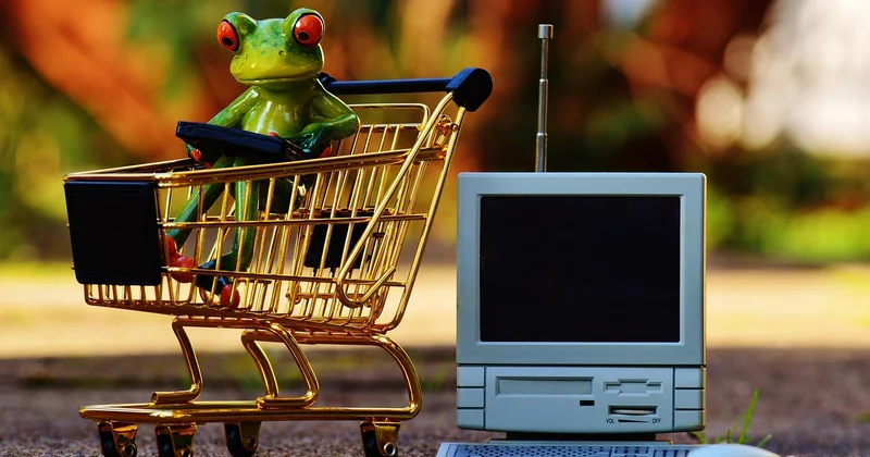 Acheter en ligne : vraie économie ou illusion ?
