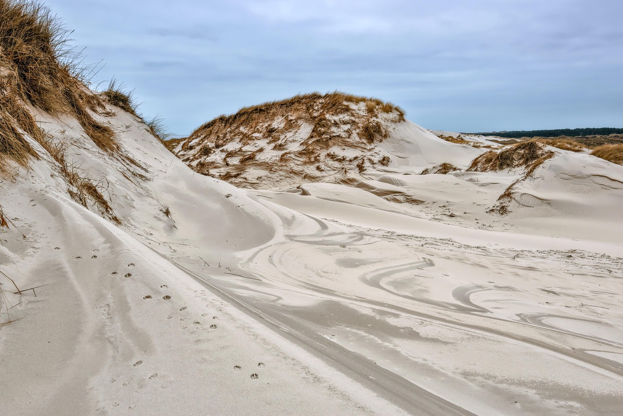 Quelles régions de France offrent les plus beaux paysages naturels ?