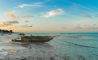 Découvrez où prendre son hôtel à Zanzibar en 2026 pour un séjour inoubliable
