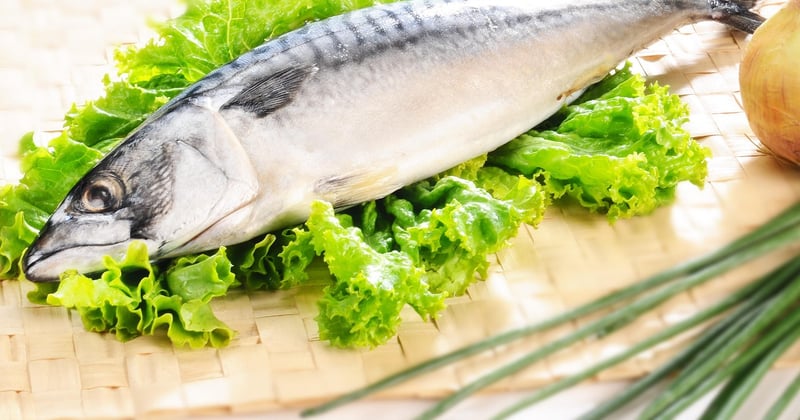 Fraichement bon : le secret des produits qui le restent vraiment