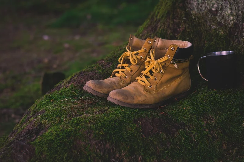 Activités en plein air : l'immersion par la marche et le goût