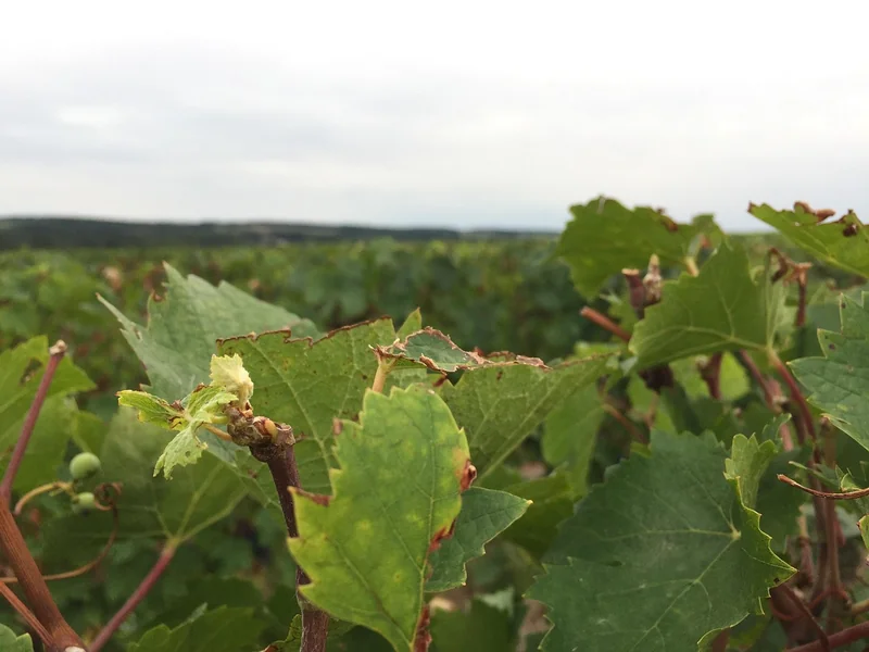 Comment choisir son hébergement entre Touraine et Sologne ?