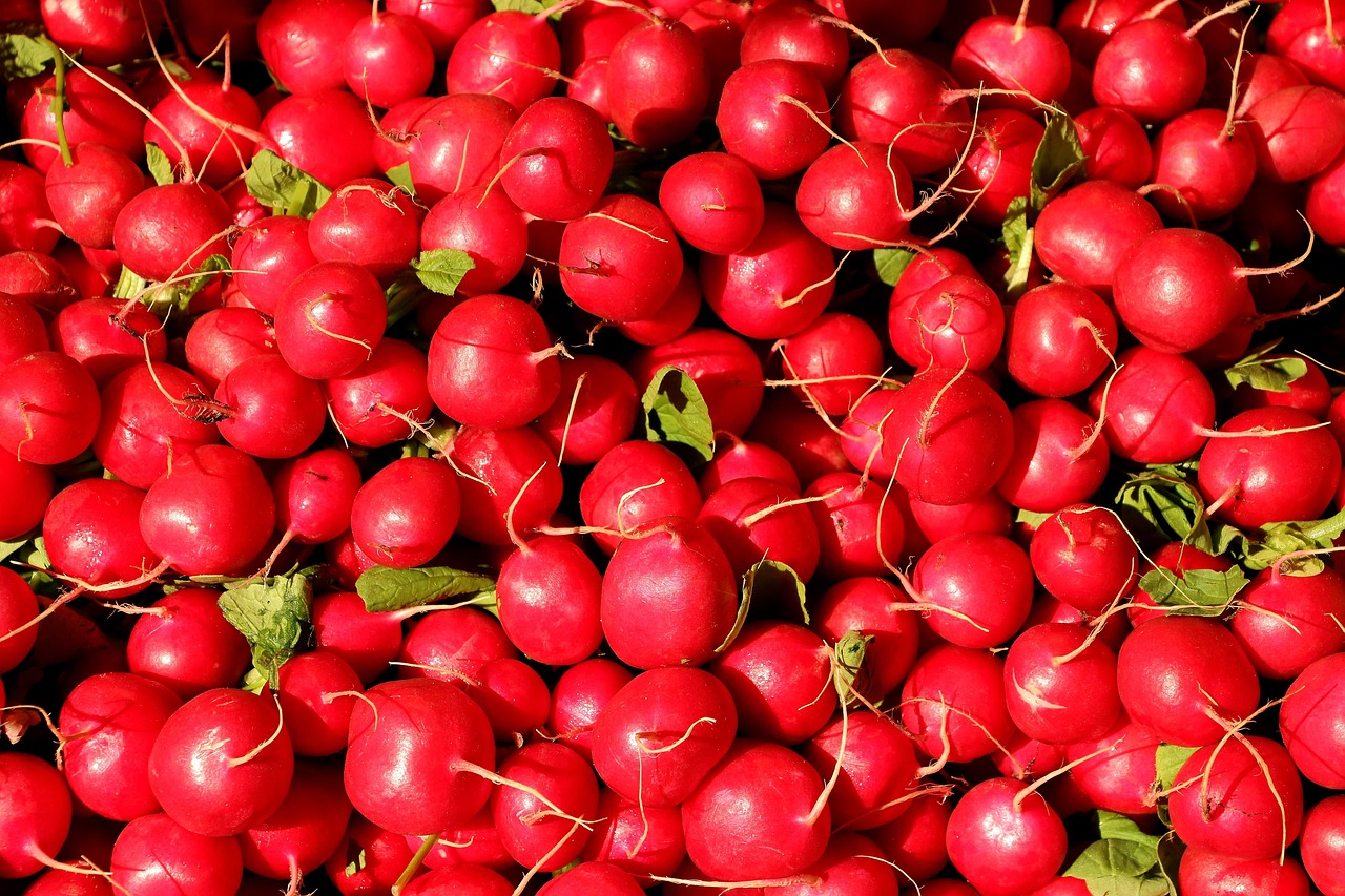 découvrez la richesse de la cuisine locale : recettes authentiques, spécialités régionales et conseils pour savourer les meilleurs produits du terroir près de chez vous.